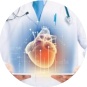 УЗИ сердца (эхокардиография) 