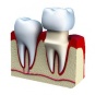 Ортопедическая стоматология 
