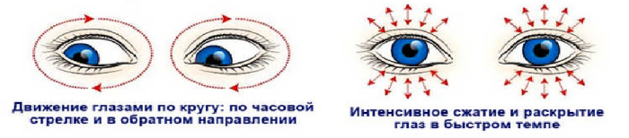 Гимнастика для глаз - движения глаз по кругу