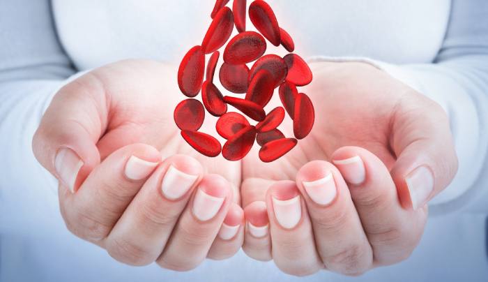 Советы гематолога - как предупредить заболевания крови