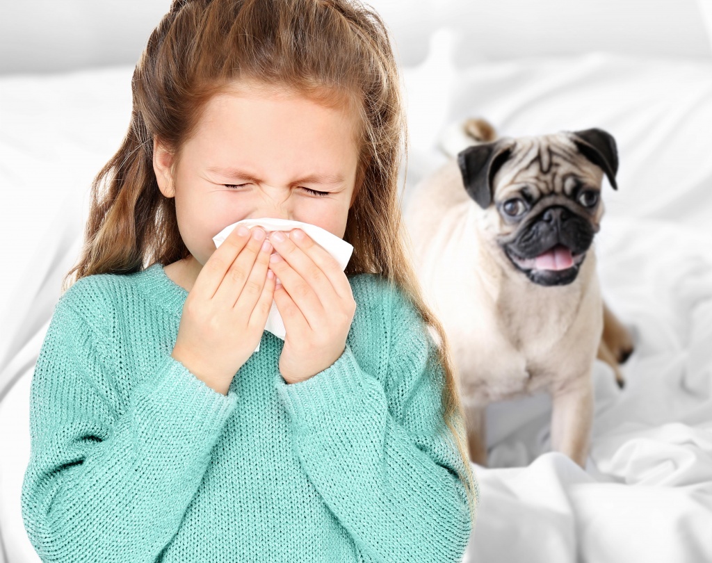аллергия на домашних животных